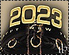 2023 New Year Gold Crown