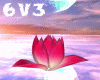 6v3| Huge Lotus Bud
