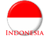 Elite Indonesia Badge