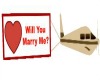 [LWR]Plane+banner marry 