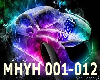 FIERO  MHYH 001-012