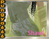 [A]pungya green Shawl