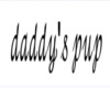 daddys pup