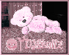 💀| Pink Teddy