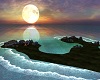 moonlight camping oasis