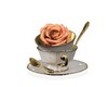 Cup coffee rose