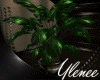 :YL:VeRo Plant 