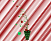 *Sweet* Christmas Plant