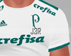 ® Football Palmeiras