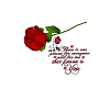 Valentine Letter N Rose