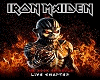 Iron Maiden (p1/2)