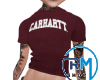 R.tshirt vnho swg