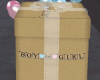 TX Reveal Boy Box