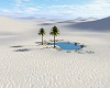 Desert White Sands Oasis