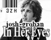 In Her Eyes - Josh Groba