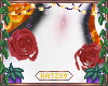 ꨄSparta Roses 28ꨄ