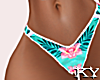 Paradise Bikini HDX