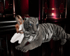 [Tia] Tiger Animated