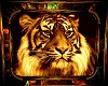 [LN] Tiger Pic 9