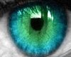 Pretty Aqua Green Eyes