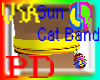 [PD] Usa Sun Cat Band[F]