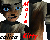 ~MNM~ Calico Kitty Male