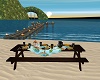 Beach Picnic Table