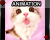 ♦ ANIMATED - Cat v5