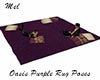 Oasis Purple Rug Poses