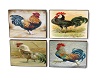 COUNTRY ROOSTER PICS