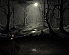 Spooky Forest BG