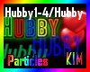 Hubby Particles