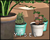 Y. Groot Plants