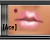 [Ace] Monroe Piercing R