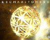 K | Flower of Life Orb