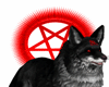 Satanic Fox Pet M/F