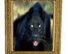 frame panther