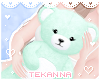 [T] Teddy bear Mint