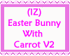 Easter Bunny wCarrot v2