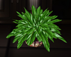 :G:Small Planter