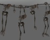 Hanged skeletons Hallowe