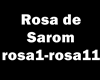 Rosa d'Saron-Baile das M
