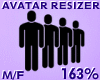 Avatar Resizer 163%