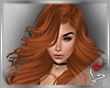 [LD]Rosalie♣Ginger