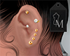 M Set Gold Earrings