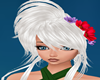 !   KITY FLOWERS FROZEN