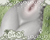 Silver Rain - F&A Shorts
