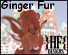 }HF{ Ginger Fur [F]