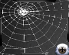 :.D.: Spider Web Wall