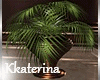 [kk]OurHome Potted Plant